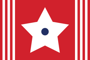 Flag kingdom of minston.png